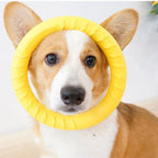 Woof Wink Floating Ring Toss & Tug Toy