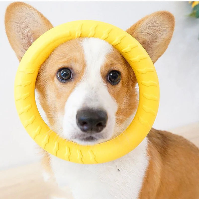 Woof Wink Floating Ring Toss & Tug Toy