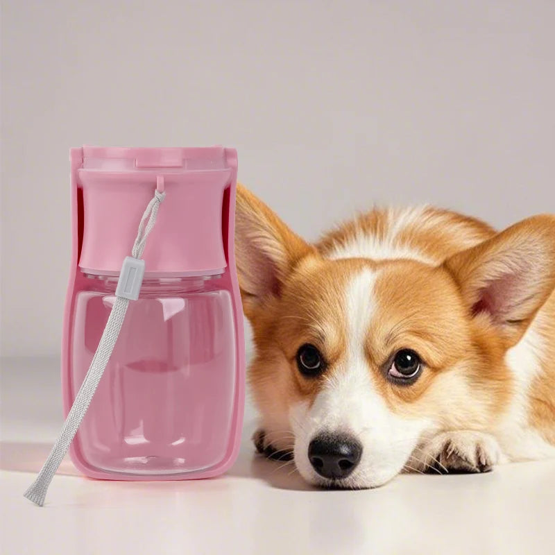 Woof Wink Foldable Travel Water Bottle