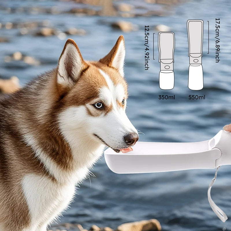 Woof Wink Foldable Travel Water Bottle
