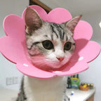 Woof Wink Soft Recovery Cone for Cats & Dogs