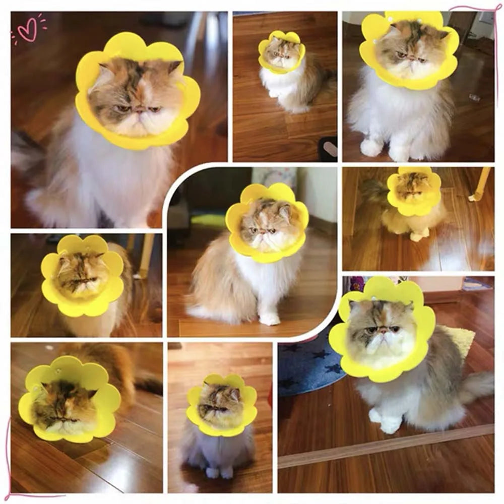 Woof Wink Soft Recovery Cone for Cats & Dogs