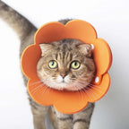 Woof Wink Soft Recovery Cone for Cats & Dogs