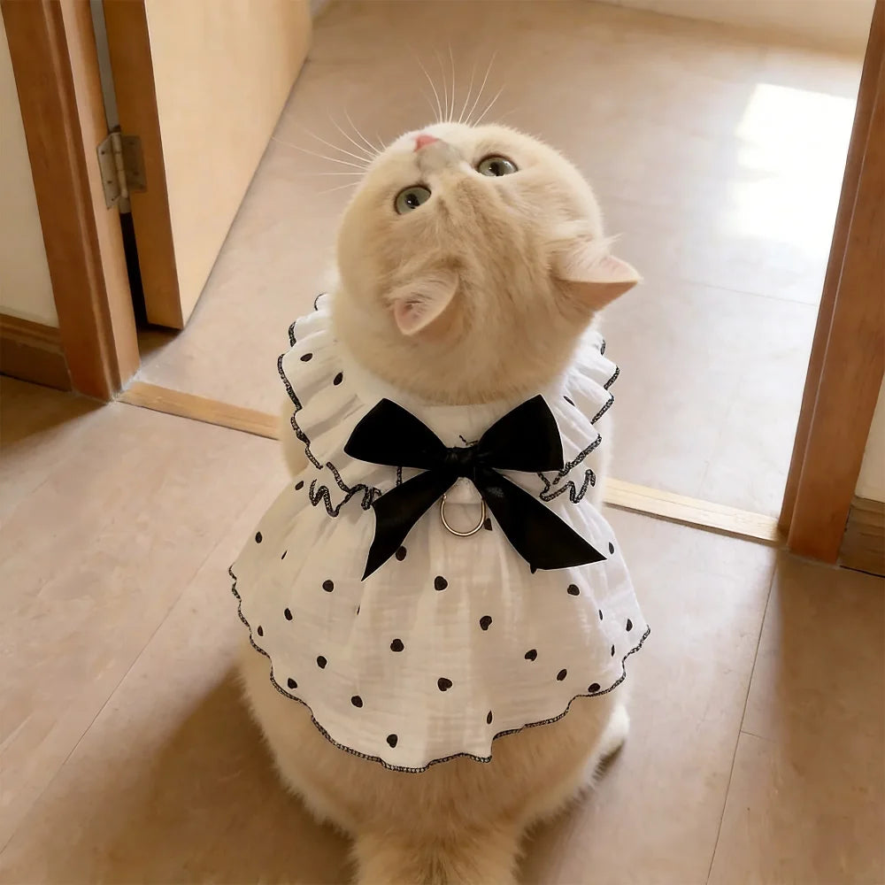 Woof Wink Breezy Summer Dress for Cats & Small Dogs