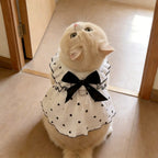 Woof Wink Breezy Summer Dress for Cats & Small Dogs