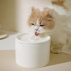 Woof Wink Ceramic Flowing Water Fountain for Cats & Dogs