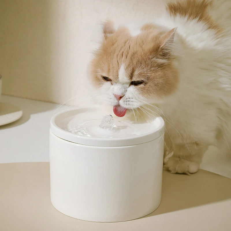 Woof Wink Ceramic Flowing Water Fountain for Cats & Dogs