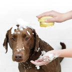 Woof Wink Silicone Bath & Massage Brush