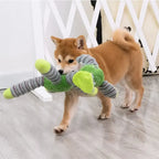 Woof Wink Tough Plush Squeaky Chew Toy