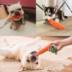 Woof Wink Braided Cotton Rope Chew Toy