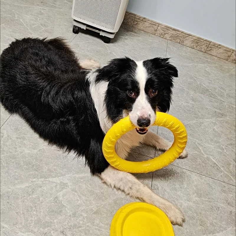 Woof Wink Floating Ring Toss & Tug Toy