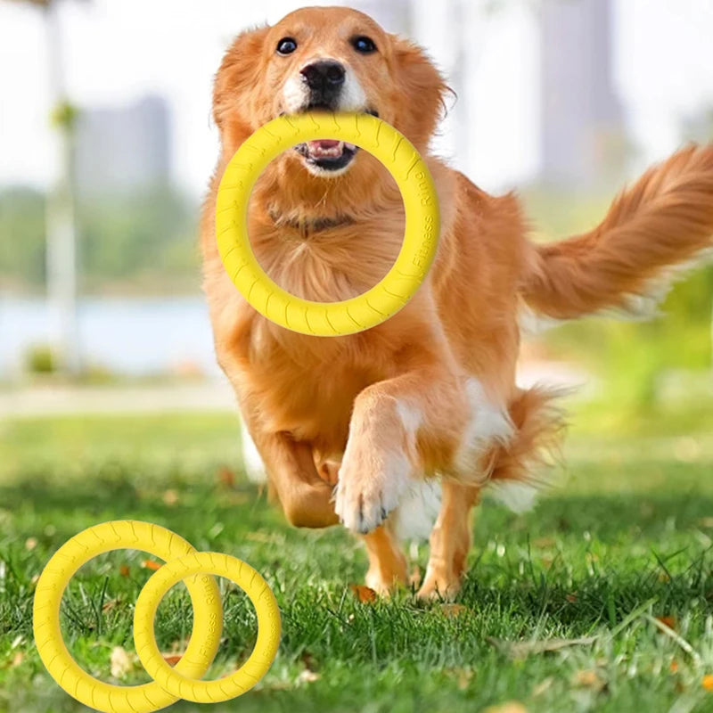 Woof Wink Floating Ring Toss & Tug Toy