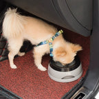 Woof Wink Leak-Proof Travel Water Bowl