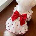 Woof Wink Breezy Summer Dress for Cats & Small Dogs