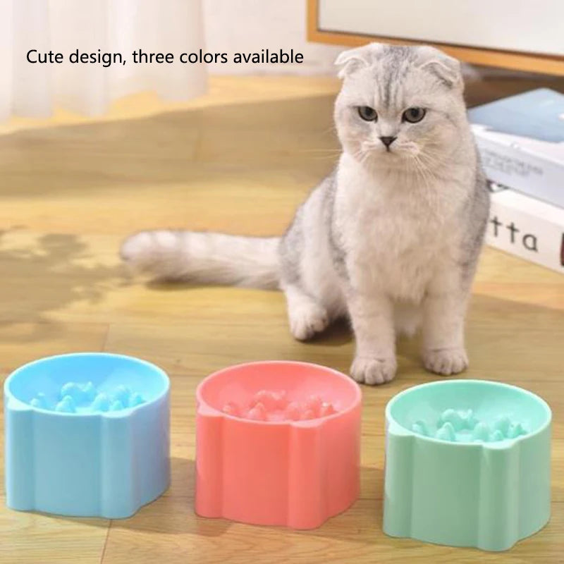 Woof Wink Raised Anti-Choking Feeding Bowl