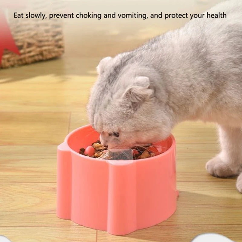 Woof Wink Raised Anti-Choking Feeding Bowl