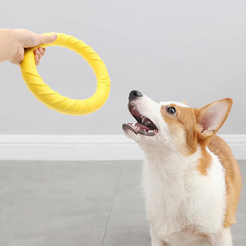 Woof Wink Floating Ring Toss & Tug Toy